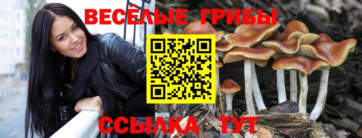 Галлюциногенные грибы ЛСД Коммунар